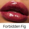 Ultralśniący błyszczyk do ust FORBIDDEN FIG